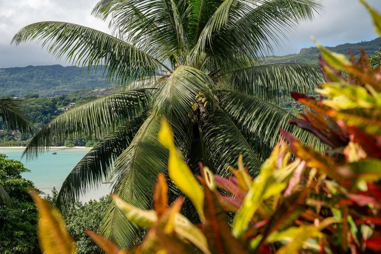 La Residence Baie Lazare  Luaran gambar